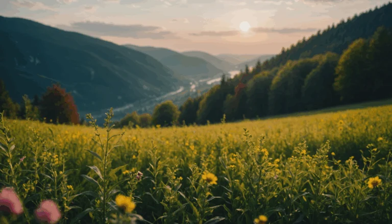 Pourquoi le nettoyage écologique révolutionne l’entretien respectueux de l’environnement